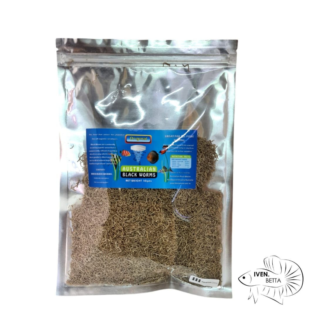 Australian Black Worms - Original (Loose) by Iven Betta