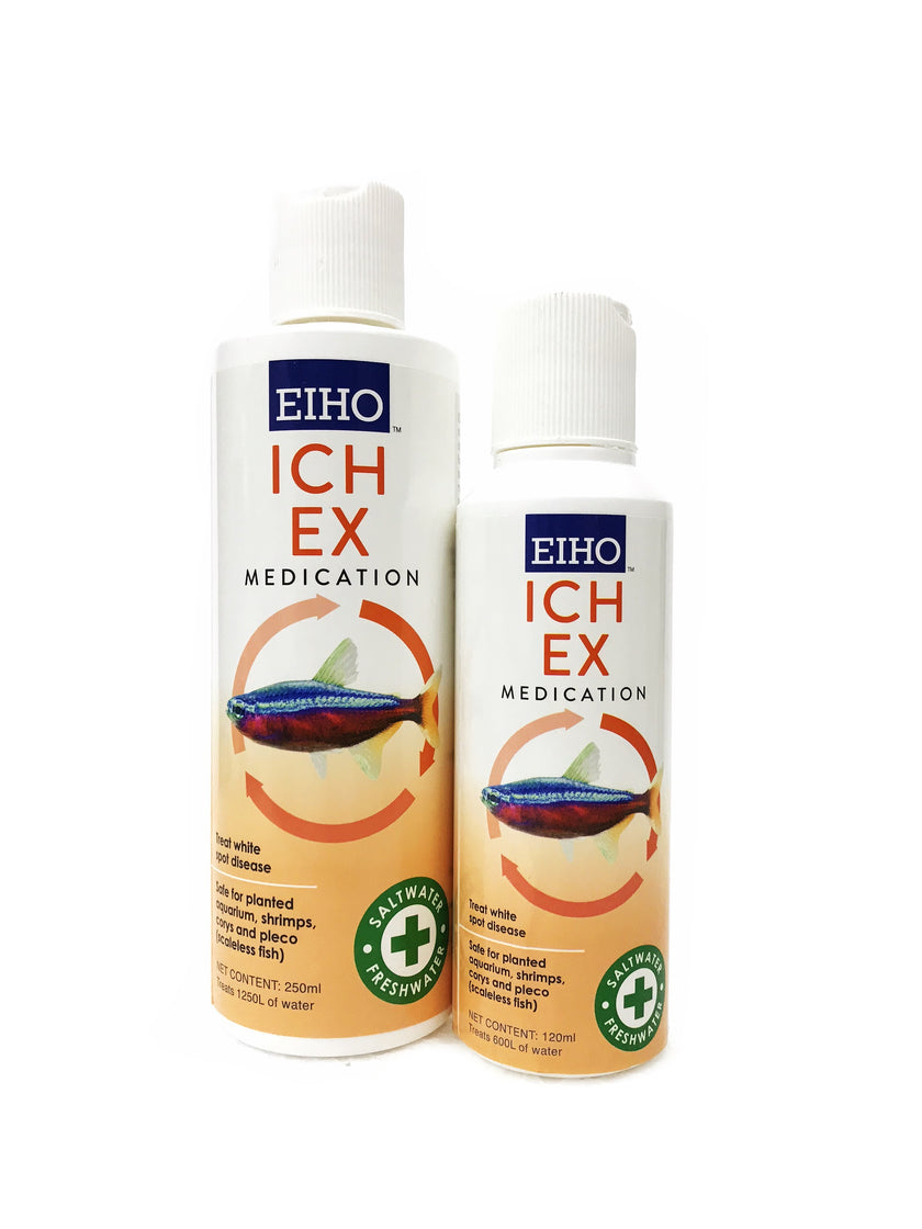 EIHO Ich Ex by EIHO