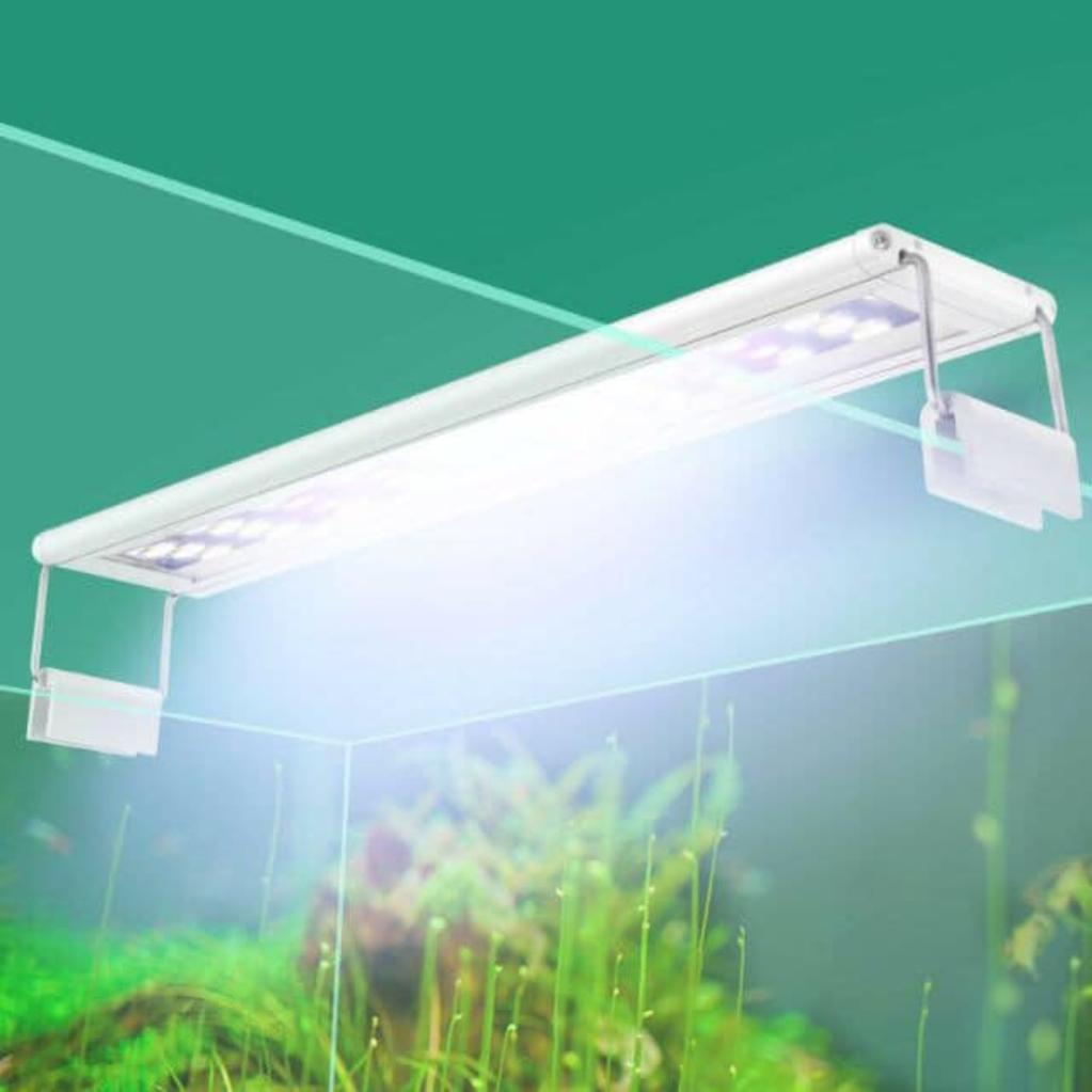 Roxin AST Led Lamp - Colourful Series by ivenbetta